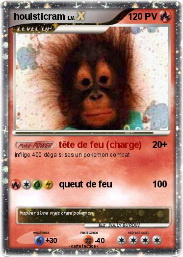 Pokemon houisticram