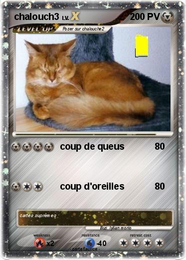 Pokemon chalouch3