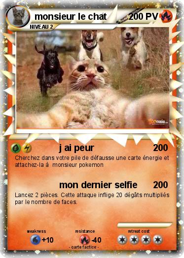 Pokemon monsieur le chat