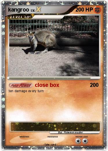 Pokemon kangroo