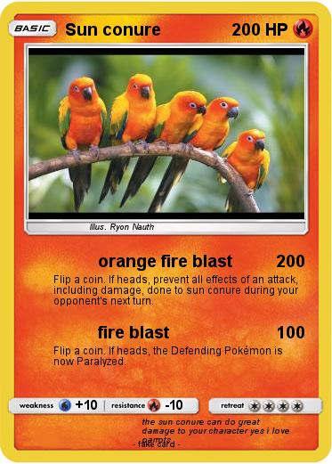 Pokemon Sun conure