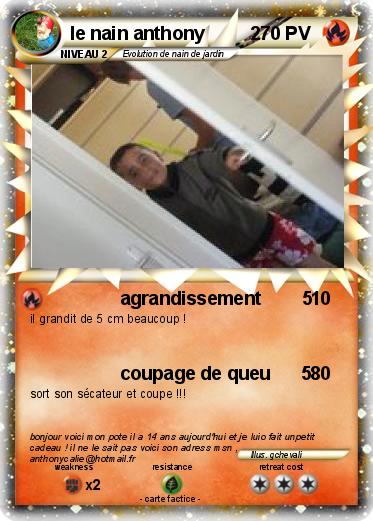 Pokemon le nain anthony         2