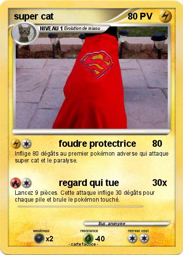 Pokemon super cat
