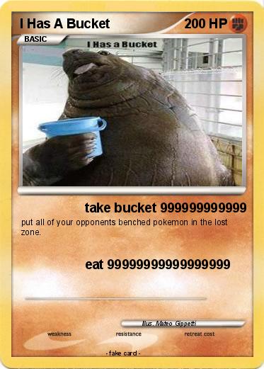 Pokemon I Has A Bucket