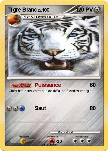 Pokemon Tigre Blanc