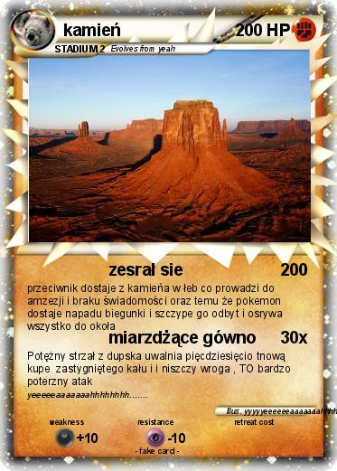 Pokemon kamień