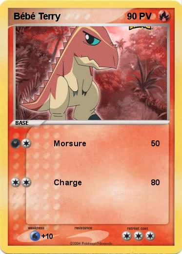 Pokemon Bébé Terry