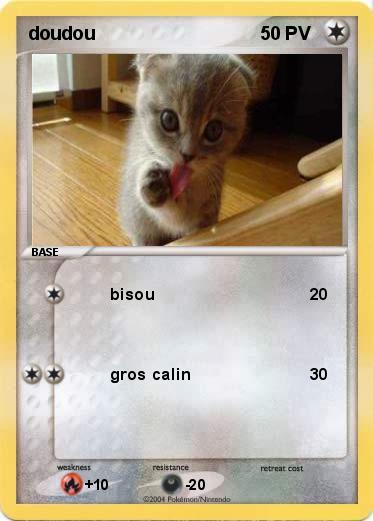 Pokemon doudou