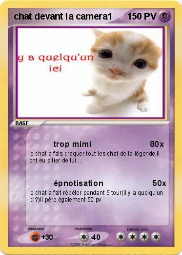 Pokemon chat devant la camera1