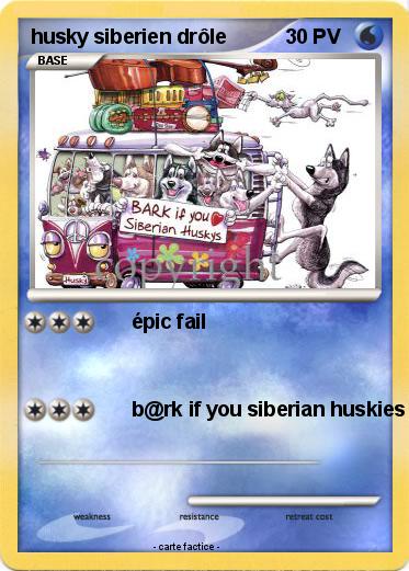 Pokemon husky siberien drôle