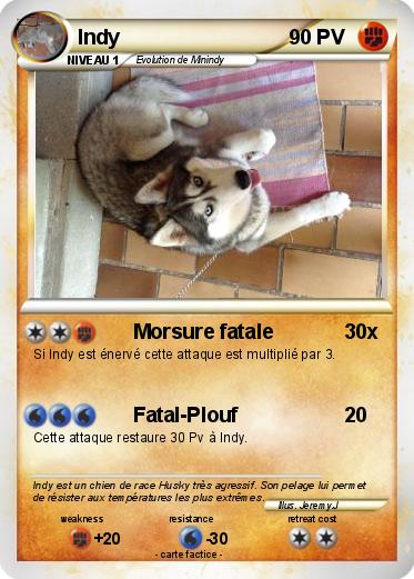 Pokemon Indy