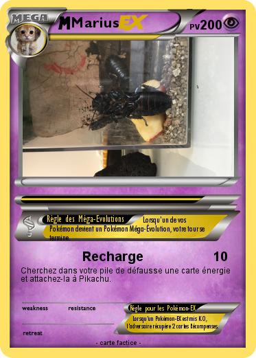Pokemon Marius