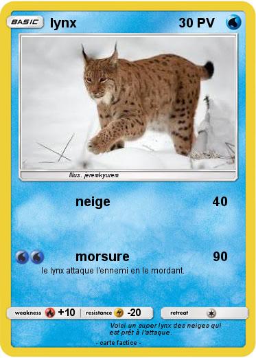 Pokemon lynx