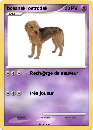 Pokemon bosanski ostrodaki