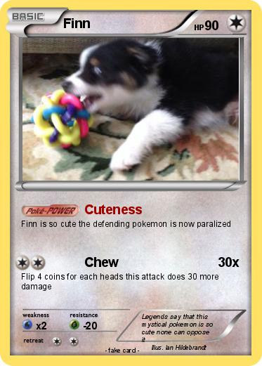 Pokemon Finn