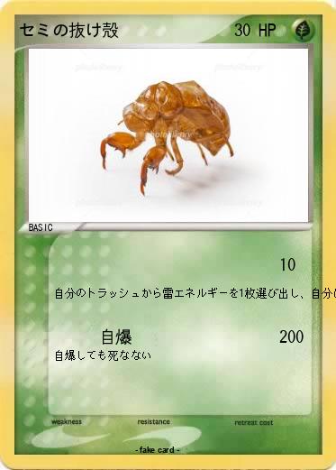 Pokemon セミの抜け殻