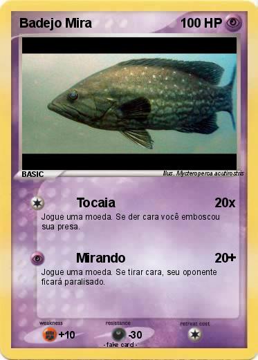 Pokemon Badejo Mira