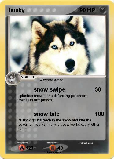 Pokemon husky