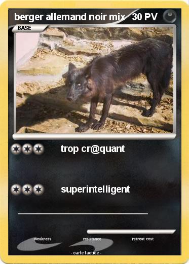 Pokemon berger allemand noir mix