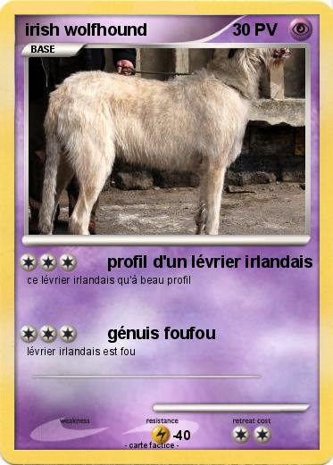 Pokemon irish wolfhound
