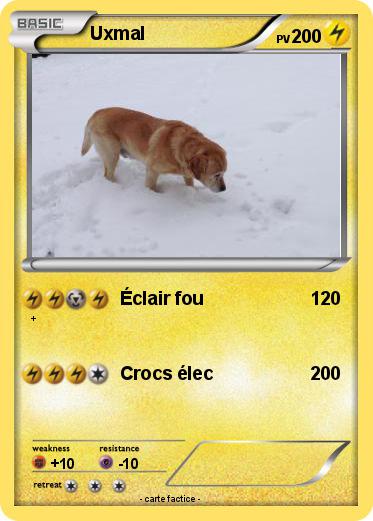 Pokemon Uxmal