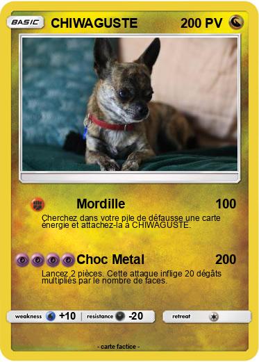 Pokemon CHIWAGUSTE