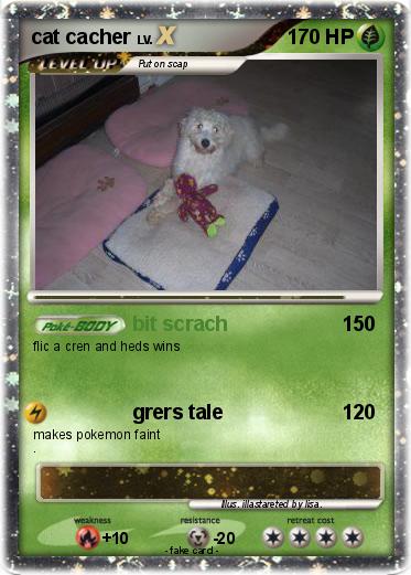 Pokemon cat cacher