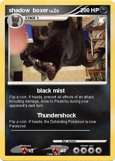 Pokemon shadow  boxer