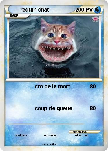 Pokemon requin chat