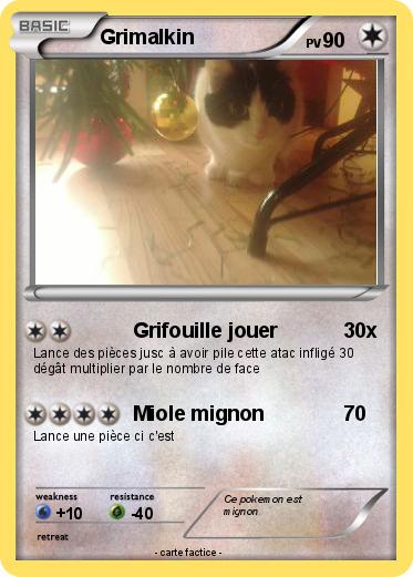 Pokemon Grimalkin