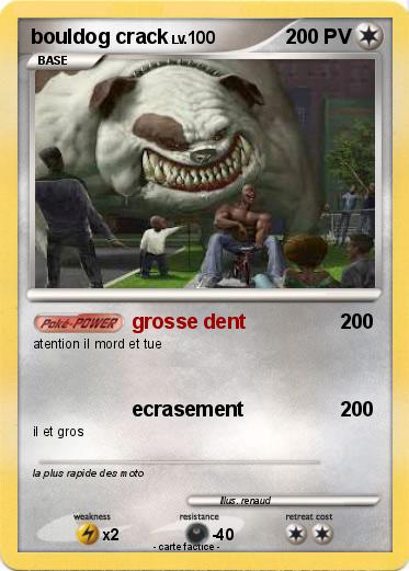 Pokemon bouldog crack