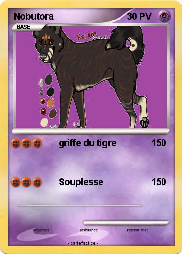 Pokemon Nobutora