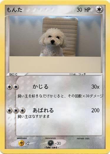 Pokemon もんた