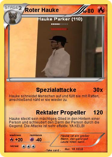 Pokemon Roter Hauke