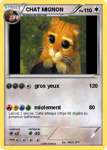 Pokemon CHAT MIGNON