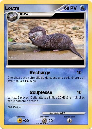 Pokemon Loutre