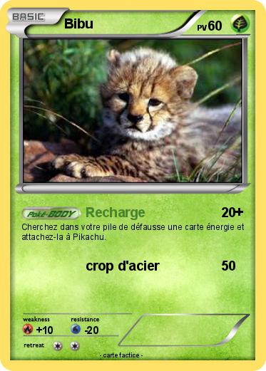 Pokemon Bibu