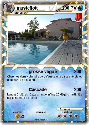 Pokemon musteflott