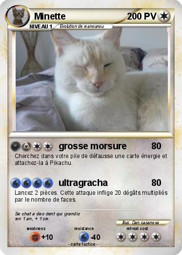 Pokemon Minette