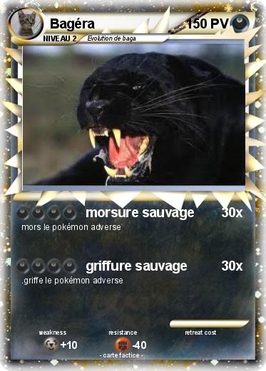 Pokemon Bagéra