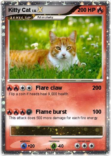 Pokemon Kitty Cat