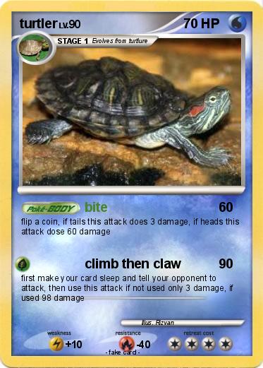 Pokemon turtler