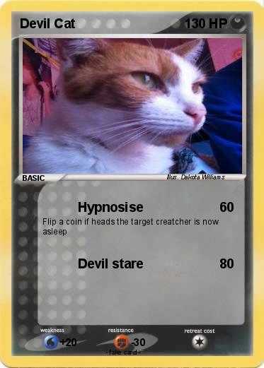 Pokemon Devil Cat