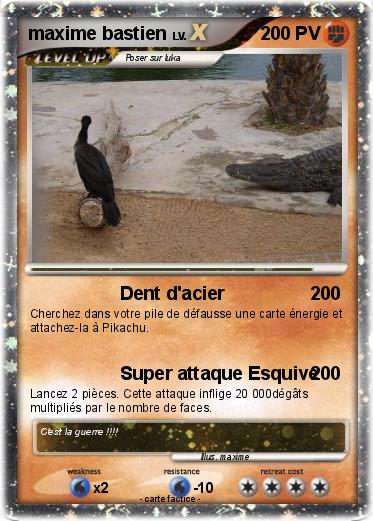 Pokemon maxime bastien