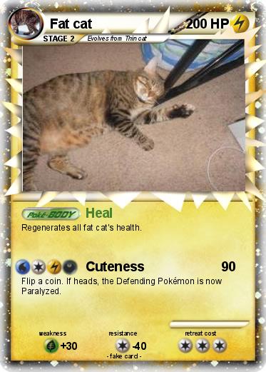 Pokemon Fat cat