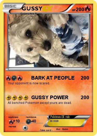 Pokemon GUSSY
