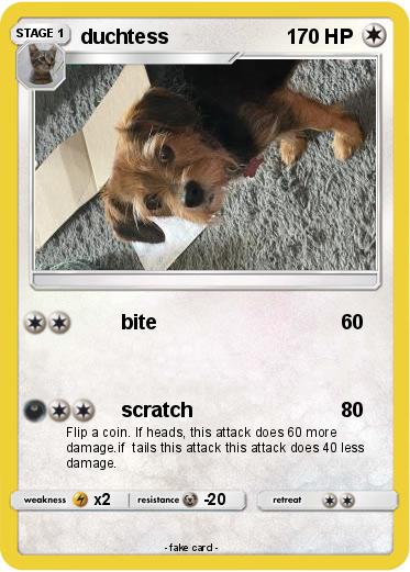 Pokemon duchtess