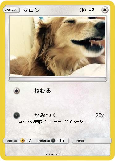 Pokemon マロン