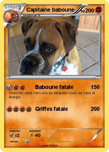 Pokemon Capitaine baboune