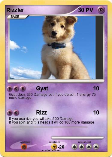 Pokemon Rizzler